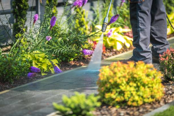 Best Dumpster Area Cleaning  in Seaside Heights, NJ