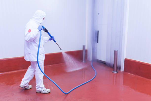 Best Pre-Holiday Cleaning  in Seaside Heights, NJ